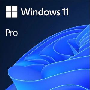 Microsoft Windows 11 Professional Full Install - Download (FQC-10572)