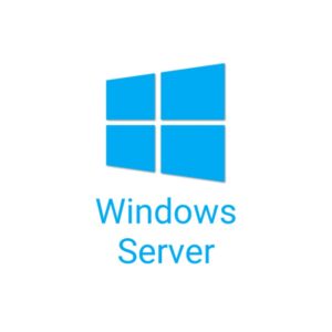 50 pack of Windows Server 2025/2022 User CALs